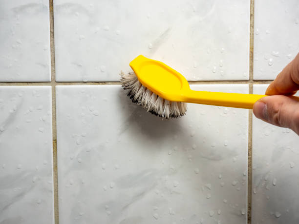 Water Damage Restoration in Austintown, OH