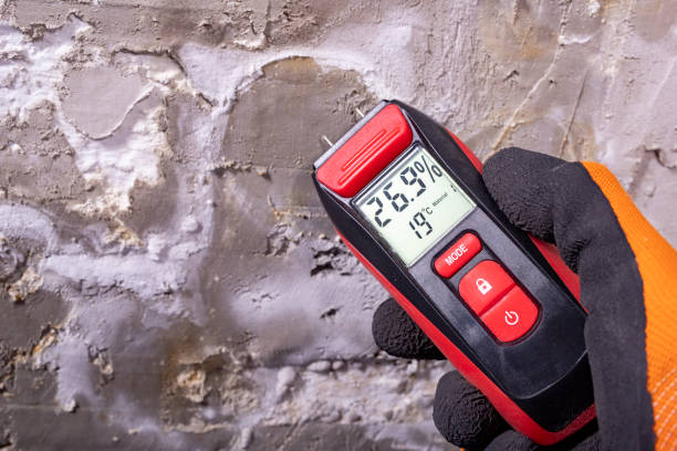 Best Home Mold Removal  in Austintown, OH