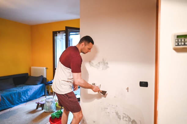 Best Commercial Mold Removal  in Austintown, OH