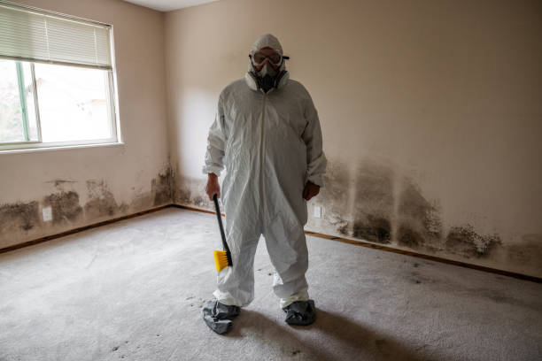 Best Mold Damage Repair  in Austintown, OH